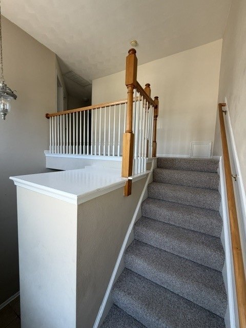 Gallery Photo 18